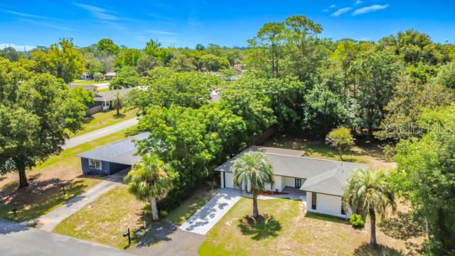 A single-story house with a white exterior, black trim, a garage, and a palm tree — 47 LAKE COURT LOOP, OCALA, FL