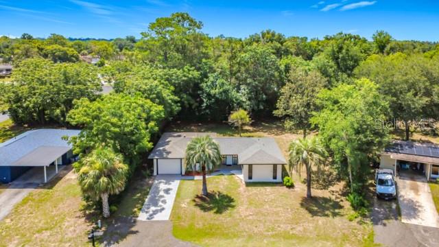 A single-story house with white stucco walls, a gray roof, and two palm trees — 47 LAKE COURT LOOP, OCALA, FL