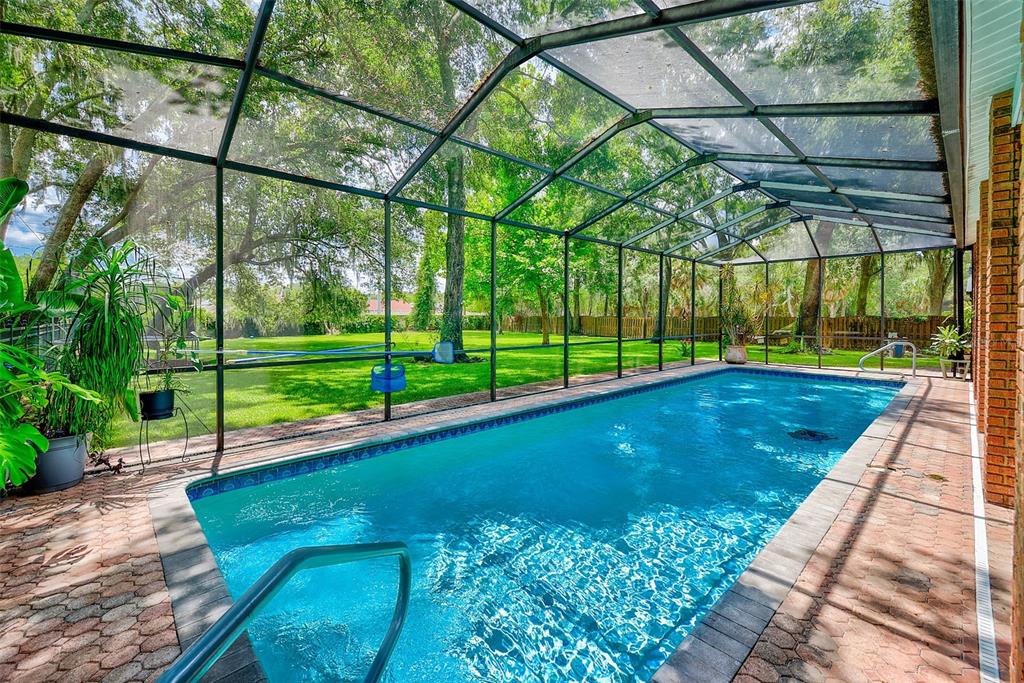 A rectangular swimming pool is enclosed by a screened lanai with brick pavers and trees — 807 CENTERBROOK DRIVE, BRANDON, FL