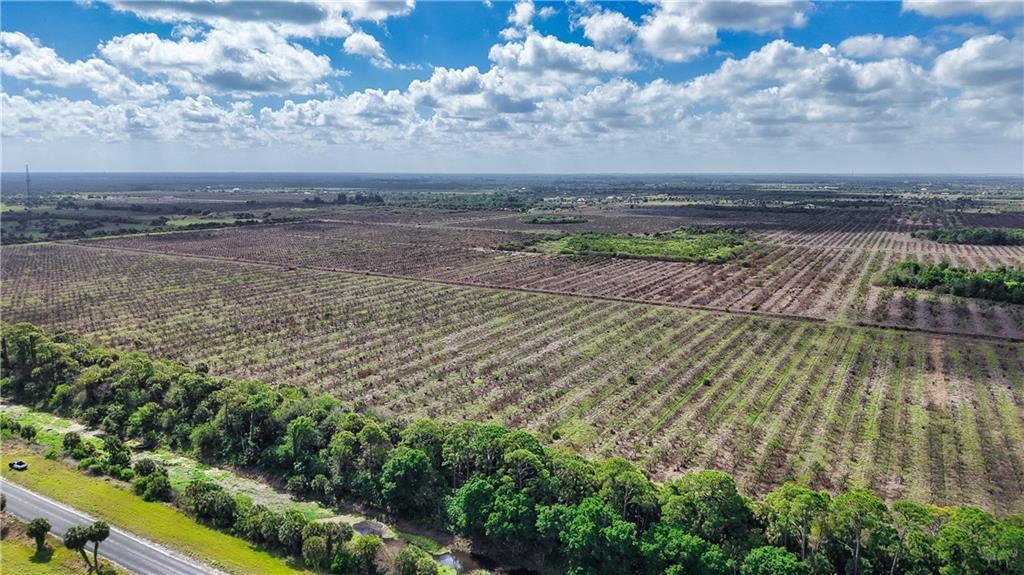 An aerial view shows a large, flat agricultural field bordered by a road and trees — FELLSMERE, FL