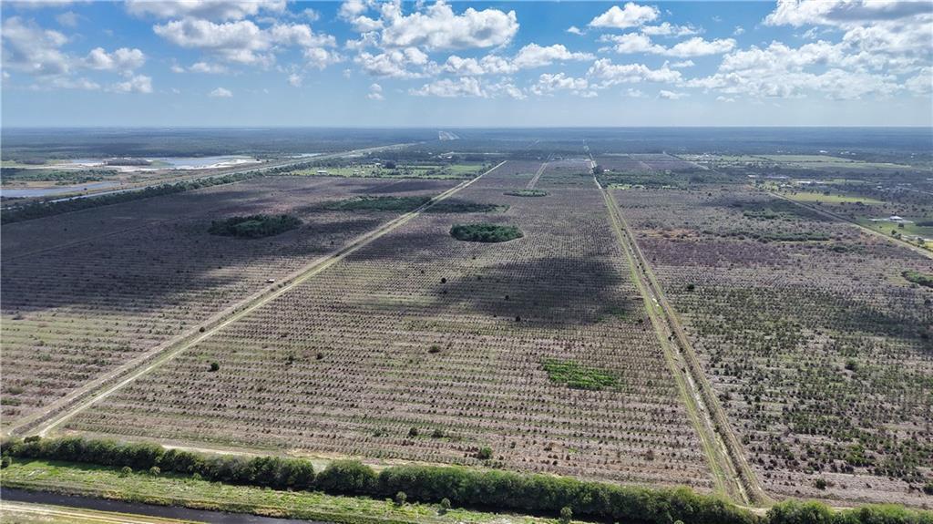 An aerial view shows a large, flat agricultural field divided by straight dirt paths — FELLSMERE, FL
