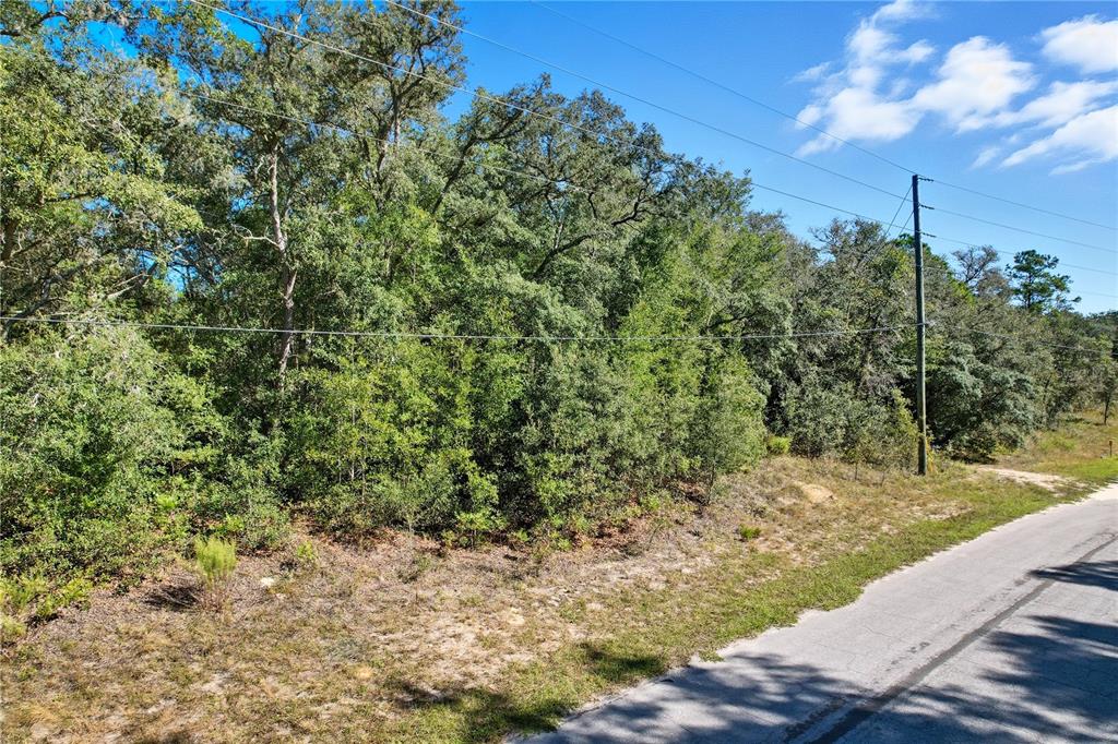 A paved road runs alongside a wooded lot with a utility pole under a blue sky — 10562 N ADLER DRIVE, CITRUS SPRINGS, FL