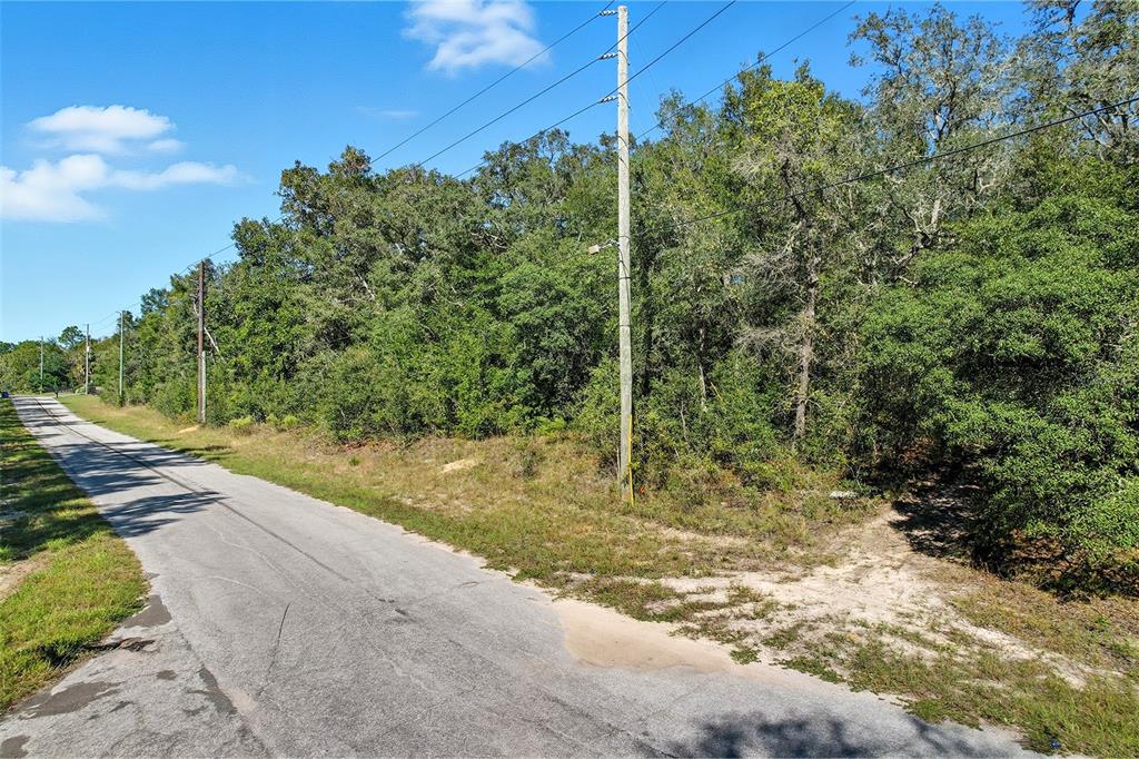 A paved road runs alongside a wooded lot with utility poles under a blue sky — 10562 N ADLER DRIVE, CITRUS SPRINGS, FL