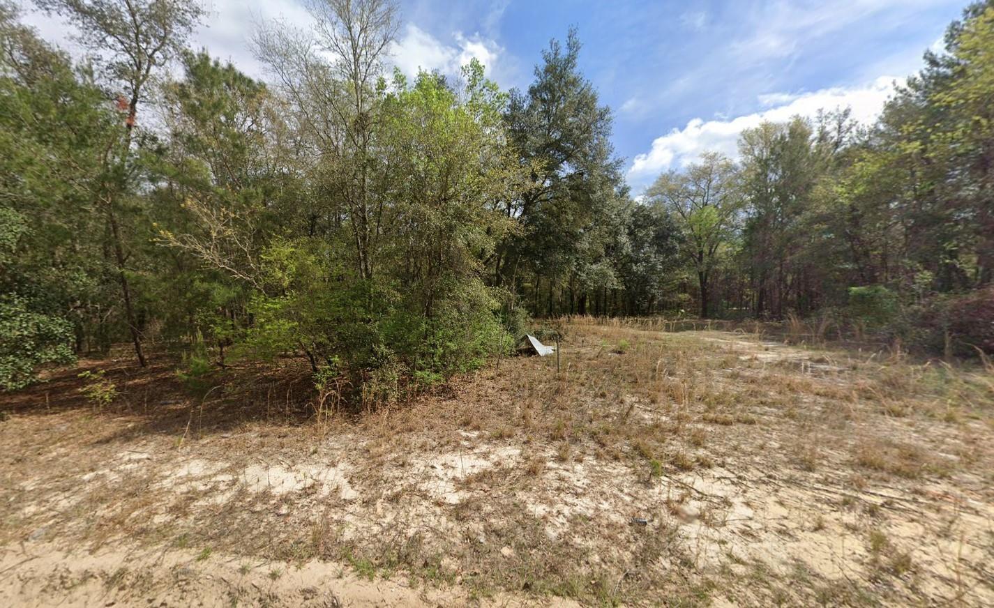 A sandy, partially cleared lot features a mix of trees and sparse vegetation — 523 Gloria Avenue, FL 32148, FL