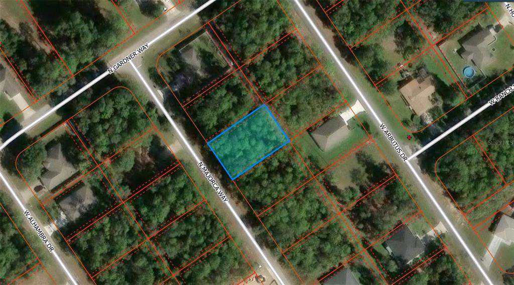 This aerial map shows a vacant, wooded residential lot highlighted in blue along a street — 10269 N MAJORCA WAY, CITRUS SPRINGS, FL