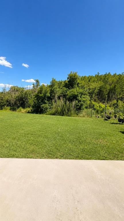 A concrete patio overlooks a large, grassy backyard bordered by a dense line of trees — 1448 DERBY GLEN DRIVE, ORLANDO, FL