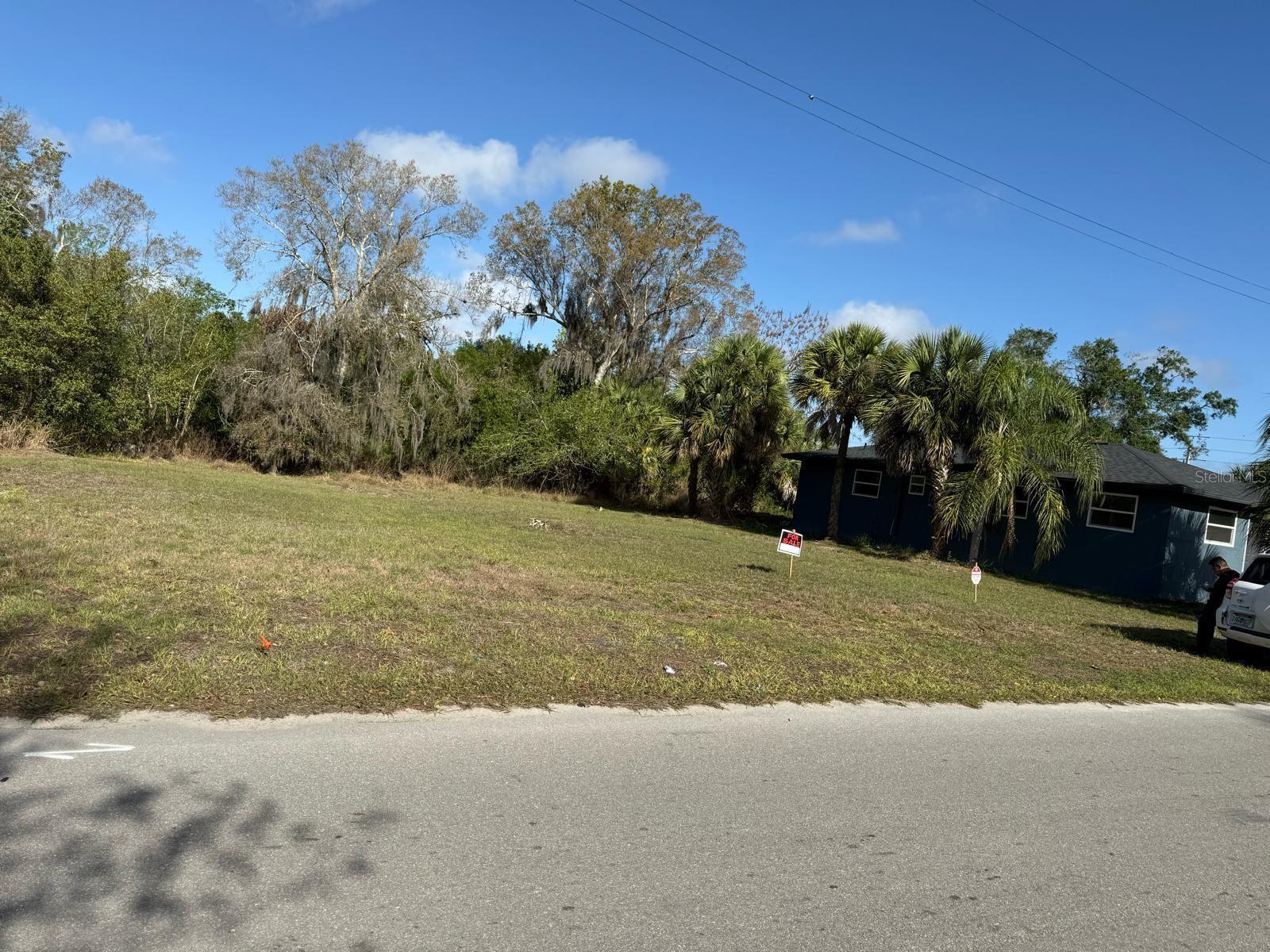 A vacant, grassy lot sits next to a dark blue house with palm trees — Xxxx Singleton Avenue, FL 34266, FL