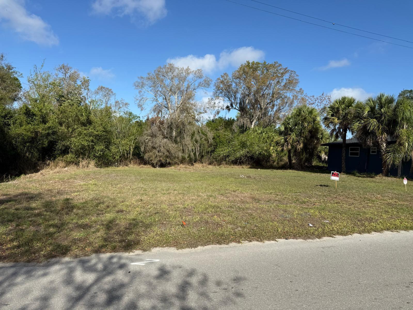A vacant, grassy residential lot sits next to a dark-colored house under a blue sky — Xxxx Singleton Avenue, FL 34266, FL
