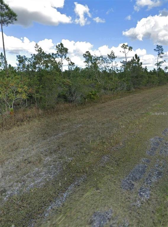 A grassy, unpaved area borders a dense line of trees under a cloudy blue sky — 1008 CALLIANDRA DRIVE, INDIAN LAKE ESTATES, FL