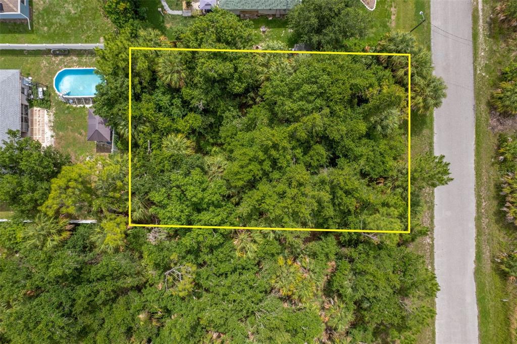 An aerial view shows a rectangular, tree-covered vacant lot outlined in yellow next to a road — VAN LEER AVENUE, NORTH PORT, FL