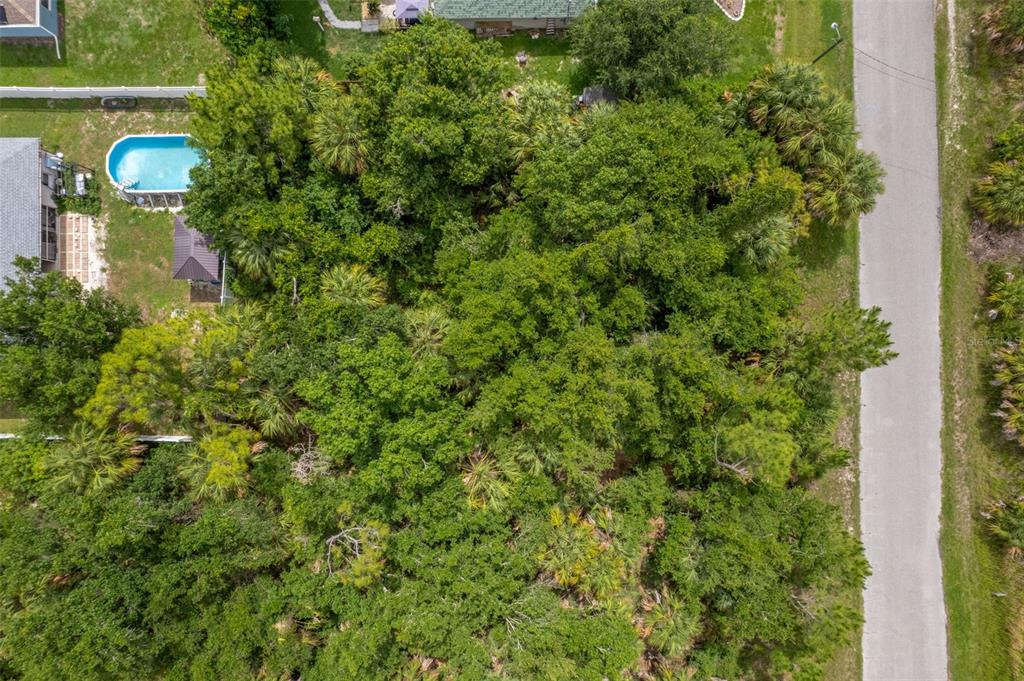 An aerial view shows a heavily wooded, undeveloped residential lot next to a paved road — VAN LEER AVENUE, NORTH PORT, FL