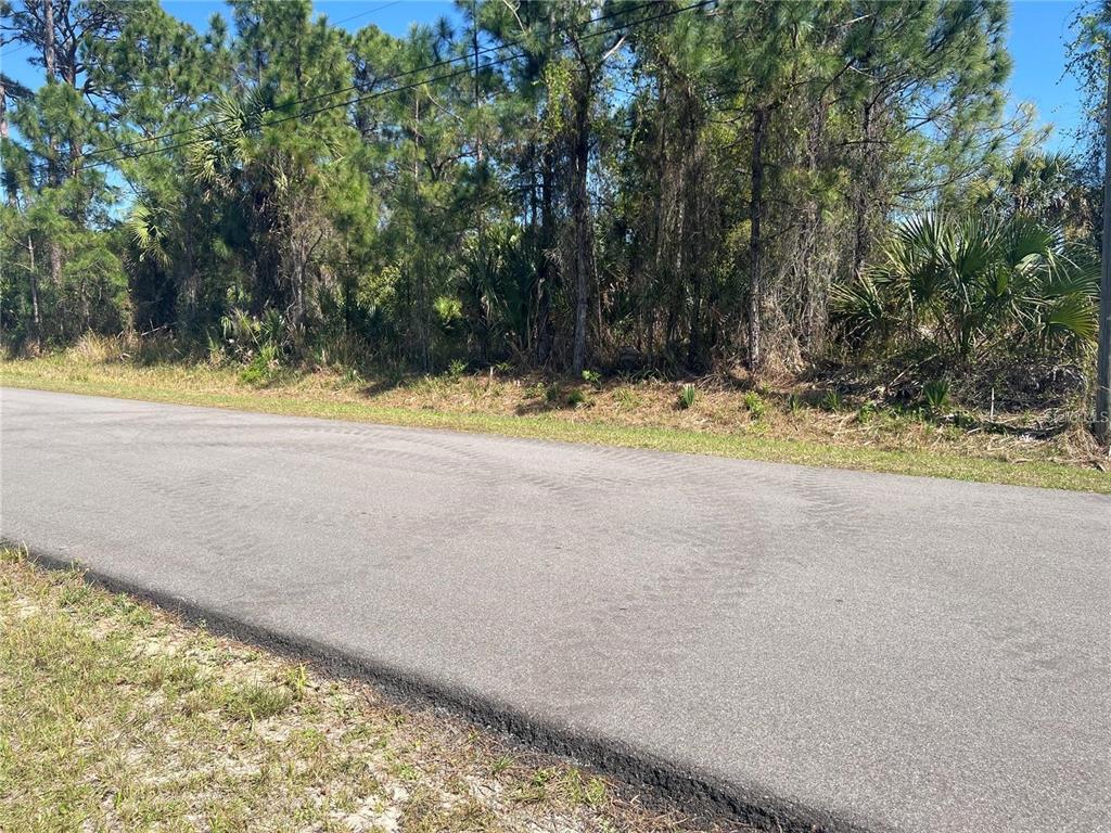 A paved road runs alongside a wooded lot with pine trees and palmetto bushes — EAGLE PASS STREET, NORTH PORT, FL