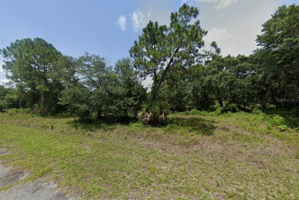 A grassy lot features a cluster of pine and oak trees under a blue sky — Lot 8 NOCTURN STREET, NORTH PORT, FL