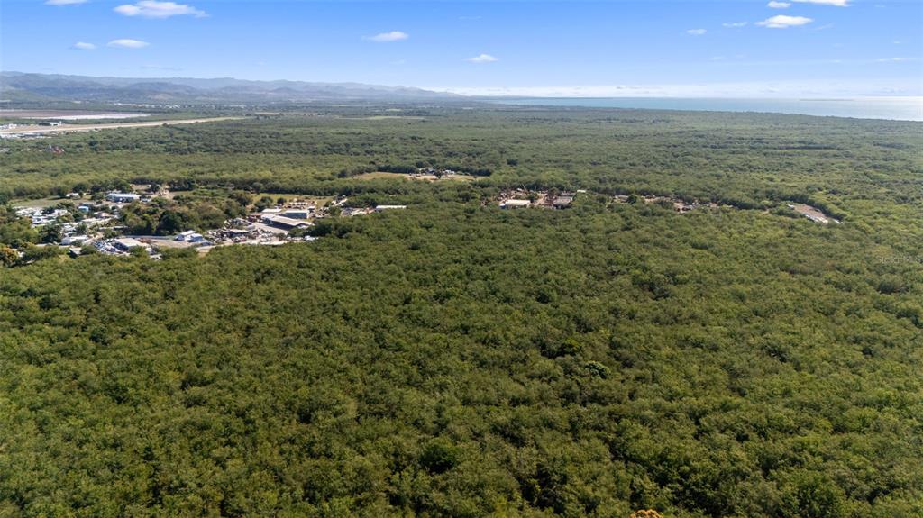 An aerial view shows a large expanse of dense forest bordering a coastal area — SECTOR VALLAS TORRES LOT 2, PONCE, PR