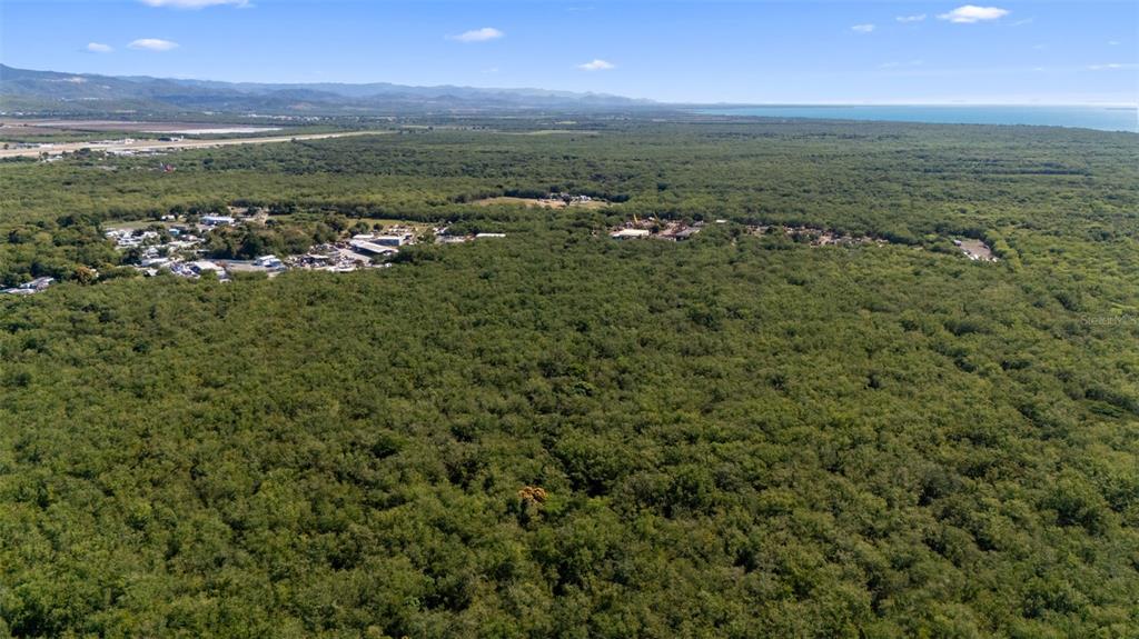 An aerial view shows a large, forested area with a small cluster of buildings nearby — SECTOR VALLAS TORRES LOT 2, PONCE, PR
