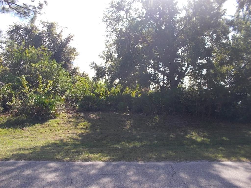 A vacant, grassy lot with trees and dense vegetation borders a paved road — 147 YELLOW PINE DRIVE, ROTONDA WEST, FL