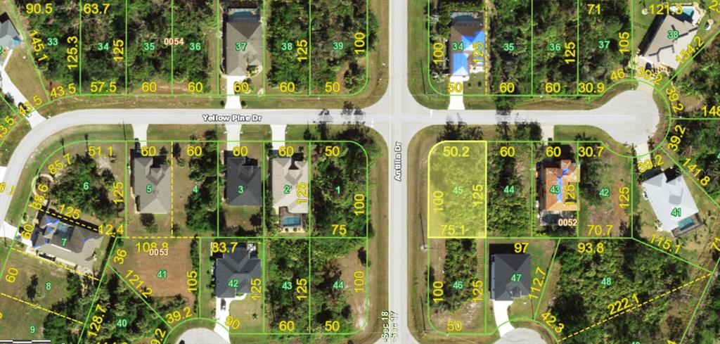 This is a satellite map view showing residential lots and streets in a suburban neighborhood — 147 YELLOW PINE DRIVE, ROTONDA WEST, FL