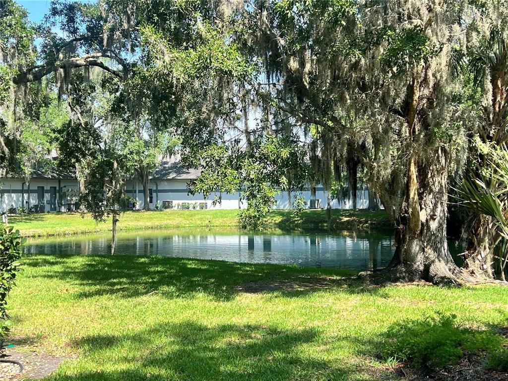 A grassy lawn leads to a small pond shaded by large trees with hanging moss — 310 PALM COAST PARKWAY NE UNIT 101, PALM COAST, FL