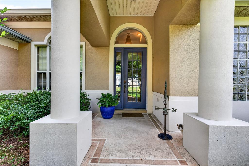 A covered front porch features two white columns, a blue glass-paneled door, and a cat — 36806 WINFIELD COURT, GRAND ISLAND, FL