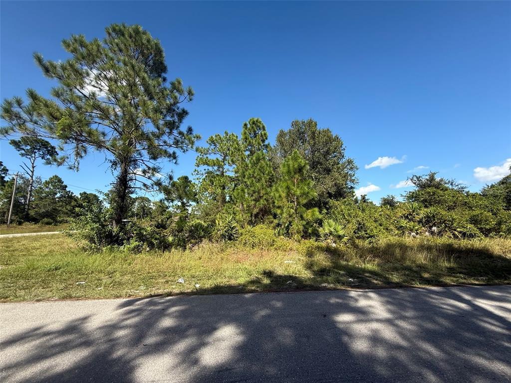 A paved road runs in front of a vacant, wooded lot under a blue sky — 627 COLUMBUS BOULEVARD S, LEHIGH ACRES, FL