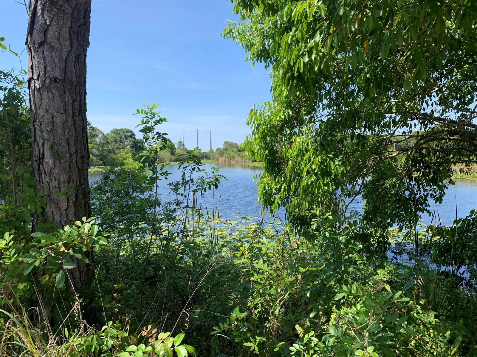 A view of a calm lake framed by trees and foliage under a clear blue sky — 10654 Sugar Pine Drive, Fort Pierce FL 34945, FORT PIERCE, FL