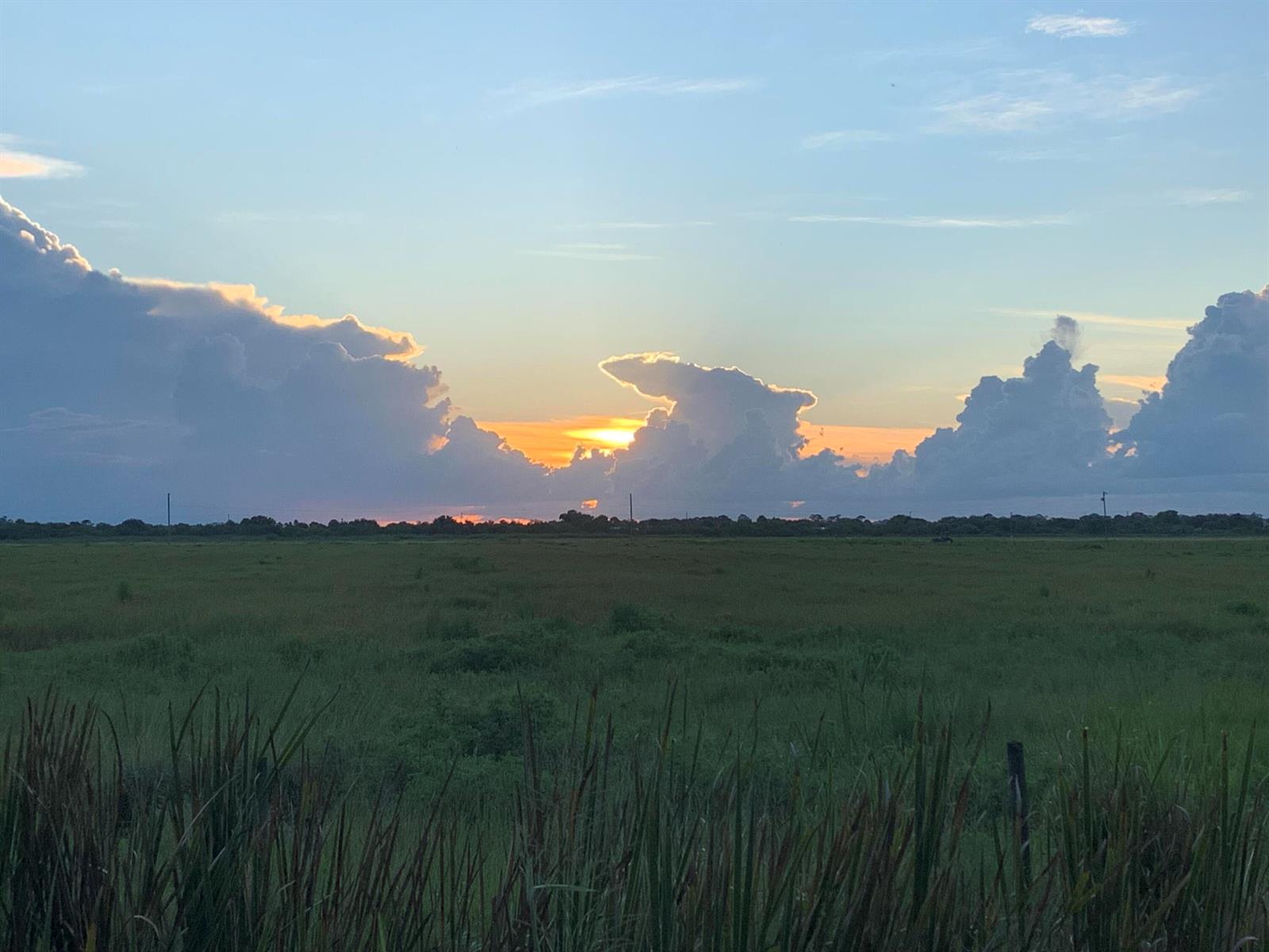 A wide, grassy field under a sunset sky with large, dramatic clouds — 10654 Sugar Pine Drive, Fort Pierce FL 34945, FORT PIERCE, FL