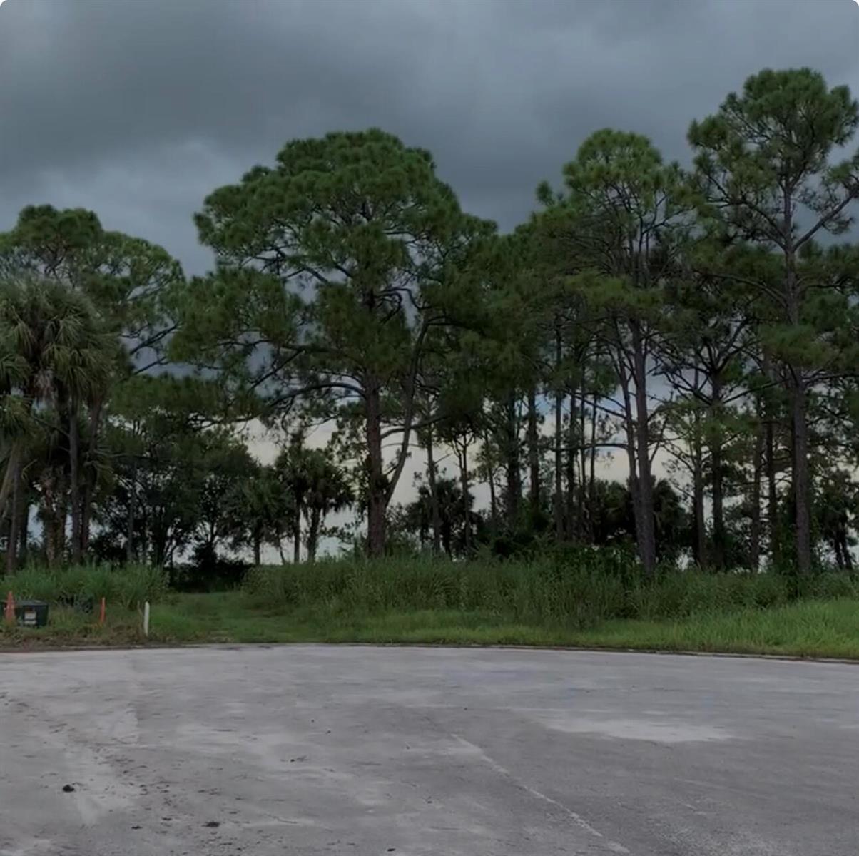 A paved lot sits in front of a line of tall pine trees under cloudy skies — 10654 Sugar Pine Drive, Fort Pierce FL 34945, FORT PIERCE, FL