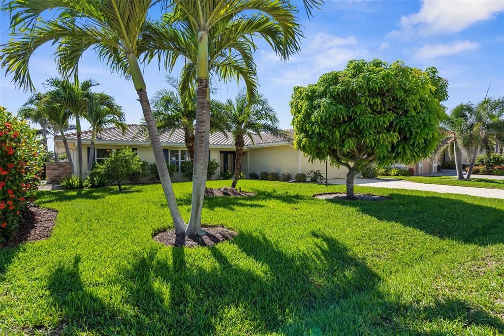 2160 PALM TREE DRIVE
