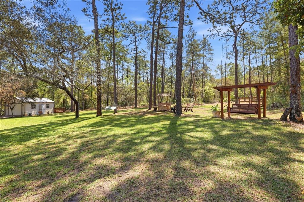 A grassy backyard features tall pine trees, a wooden swing, a hammock, and a shed — 9032 BIRMINGHAM AVENUE, WEEKI WACHEE, FL