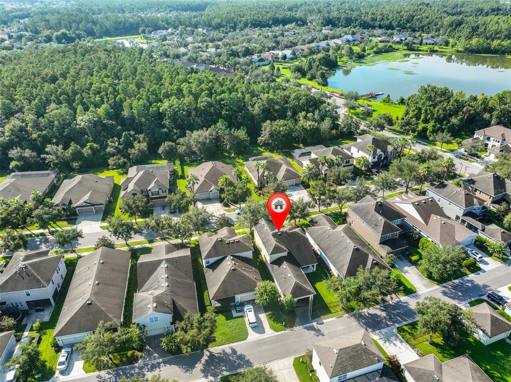 An aerial view shows a suburban neighborhood with houses, trees, and a nearby lake — 7912 HAMPTON LAKE DRIVE, TAMPA, FL
