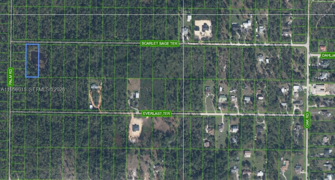 This is an aerial map showing a rectangular property parcel highlighted in blue — 1977 SCARLET SAGE TER, Sebring FL 33875, SEBRING, FL