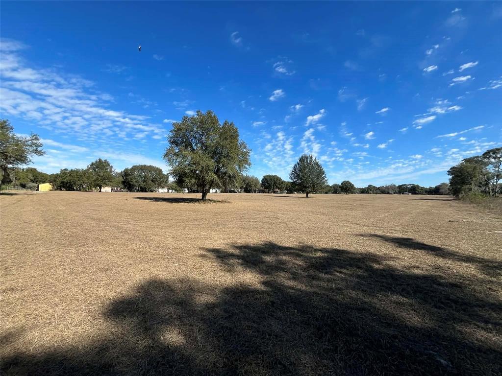 A large, flat, grassy field features several scattered trees under a bright blue sky — 122-125 MILLER STREET, POMONA PARK, FL