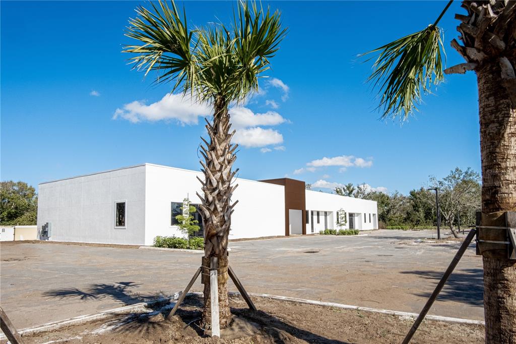 A modern white commercial building stands behind a palm tree in a large dirt lot — 11125 CORRIDOR PLACE, BRADENTON, FL