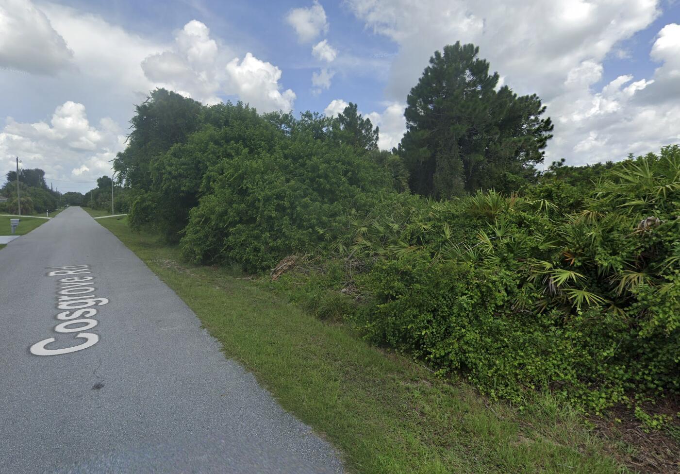 A paved road runs alongside a dense, overgrown lot with trees and shrubs — Tbd Cosgrove Road, Venice FL 34291, VENICE, FL