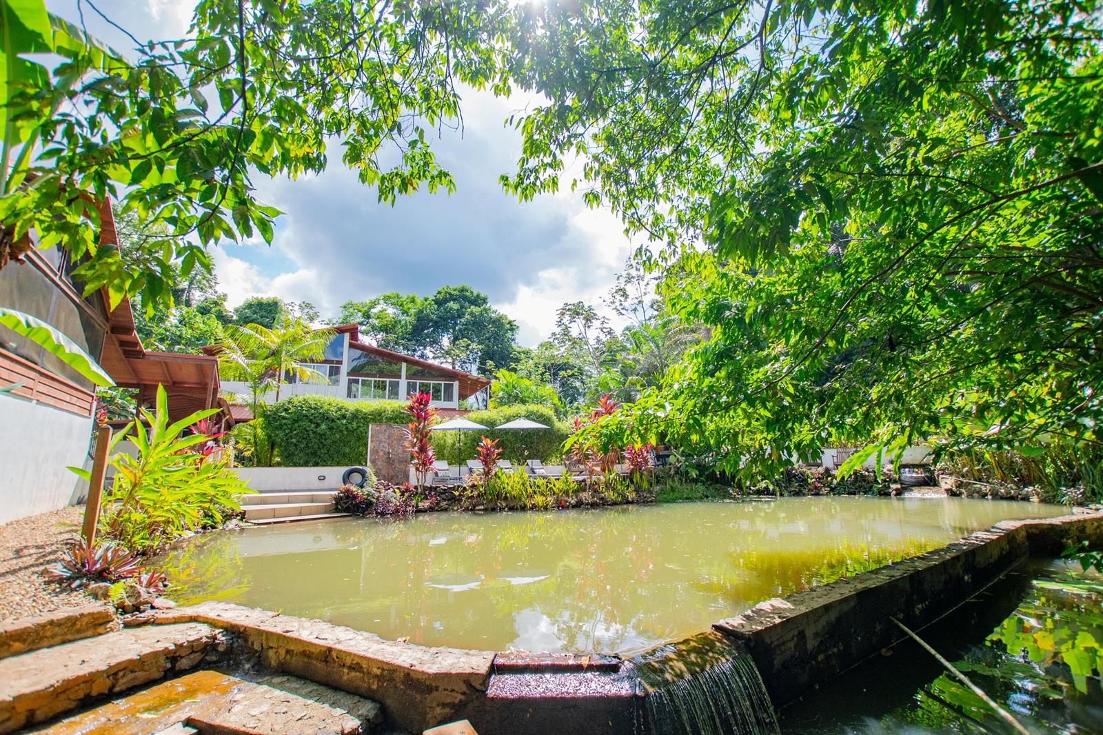 A pond with a small waterfall sits in front of a modern house and trees — 21 Hummingbird Way, 00000, FL