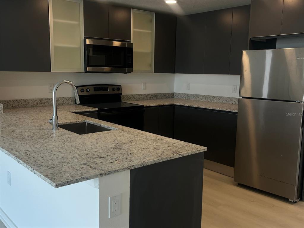 A modern kitchen features dark cabinetry, granite countertops, stainless steel appliances, and a peninsula sink — 5579 MILLENIA PARK BOULEVARD UNIT 318, ORLANDO, FL