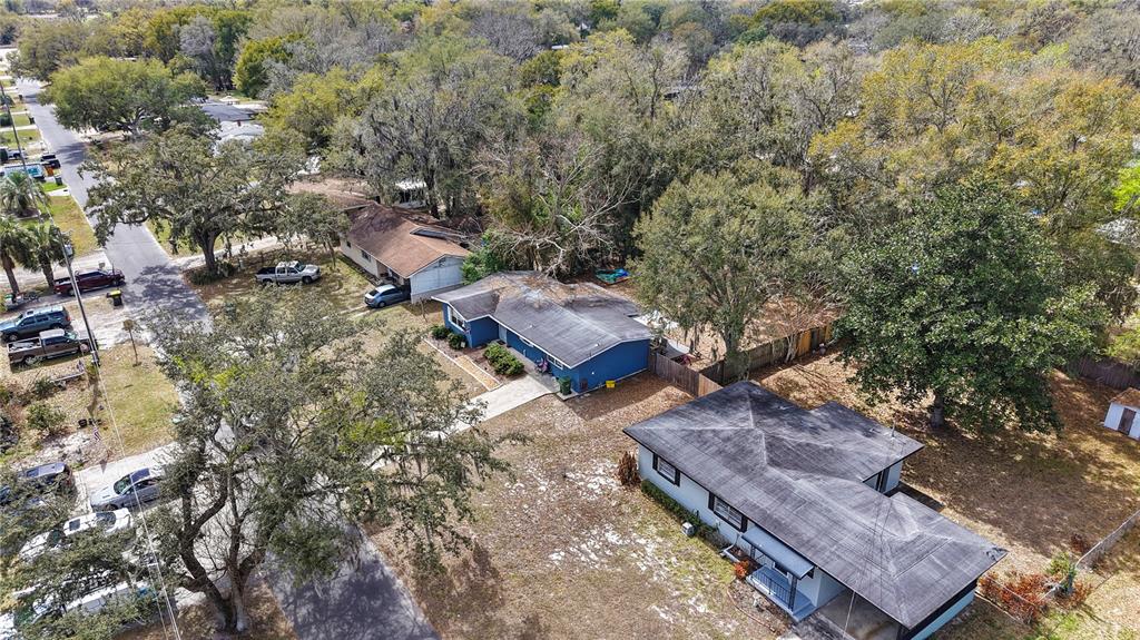 An aerial view shows two blue houses with dark roofs surrounded by trees and lawns — 303 LOUIS STREET, LEESBURG, FL