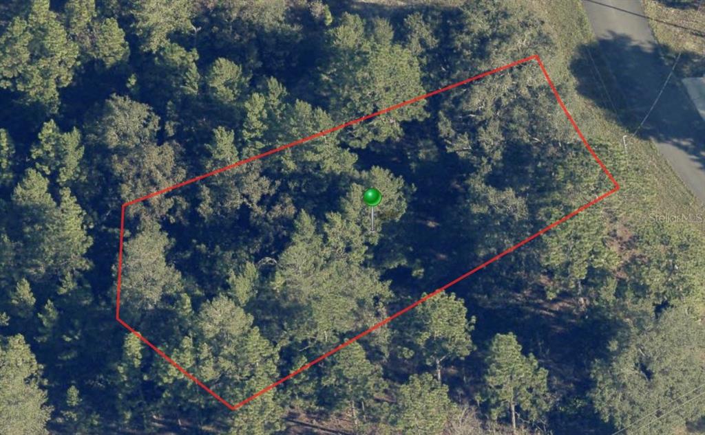 An aerial view shows a wooded, rectangular plot of land outlined in red — 6664 N BUCKSKIN DRIVE, CITRUS SPRINGS, FL