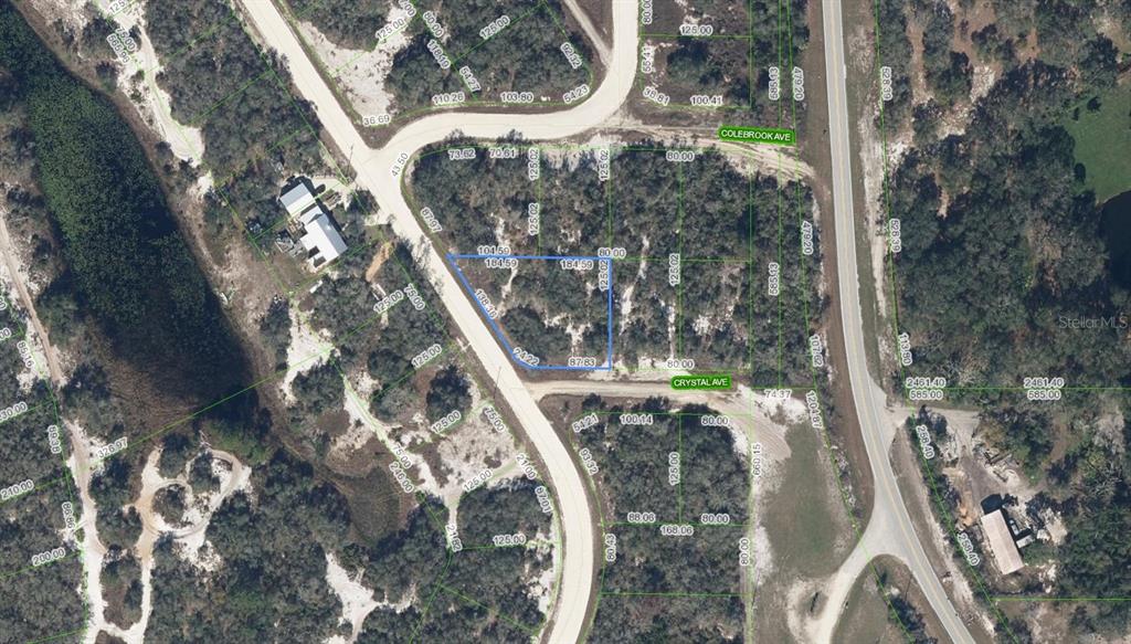 This is an aerial map showing a vacant lot outlined in blue near residential streets — 229 LAKELAND DRIVE, LAKE PLACID, FL