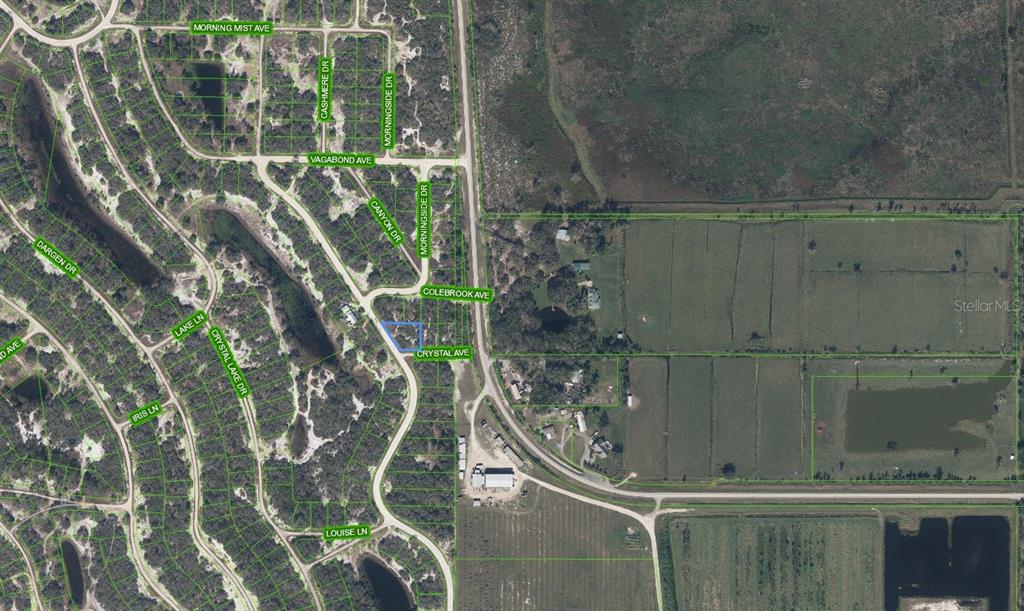 An aerial map view shows a highlighted rectangular property lot located near residential streets — 229 LAKELAND DRIVE, LAKE PLACID, FL