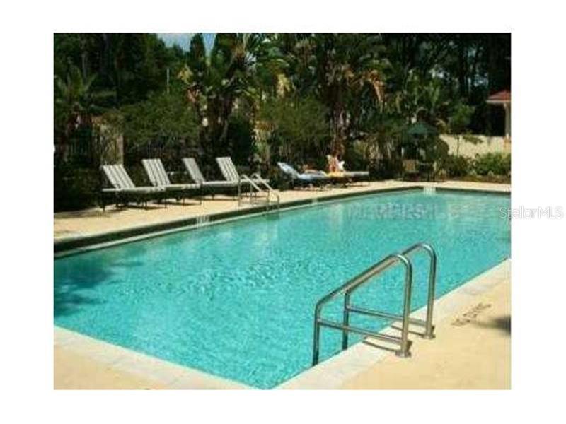 A rectangular swimming pool with lounge chairs on the deck and surrounding trees — 5620 PINNACLE HEIGHTS CIRCLE UNIT 303, TAMPA, FL
