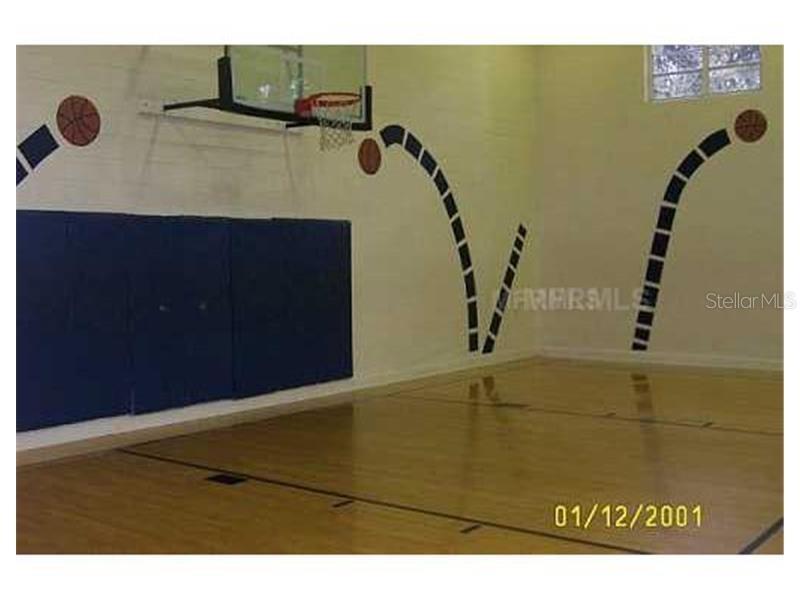 An indoor basketball court features a hoop, wall padding, and painted basketball trajectory wall murals — 5620 PINNACLE HEIGHTS CIRCLE UNIT 303, TAMPA, FL