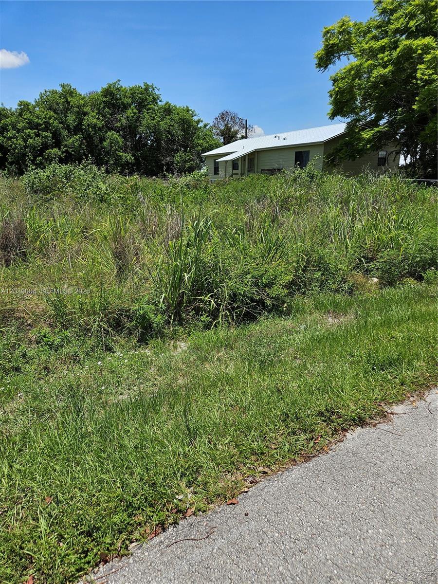A grassy, overgrown vacant lot sits in front of a small, light-colored house — TBD San Marcos Ave, Fort Pierce FL 34946, FORT PIERCE, FL