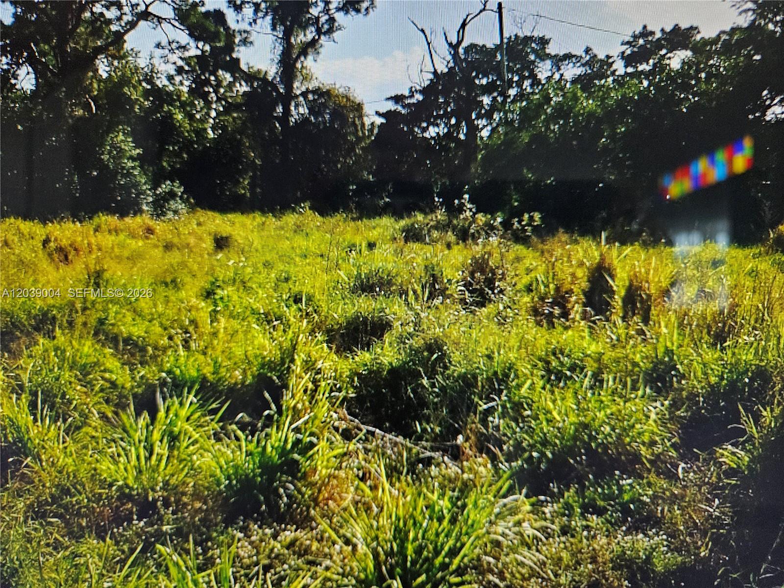 A vacant, grassy lot is surrounded by mature trees under a bright sky — TBD San Marcos Ave, Fort Pierce FL 34946, FORT PIERCE, FL