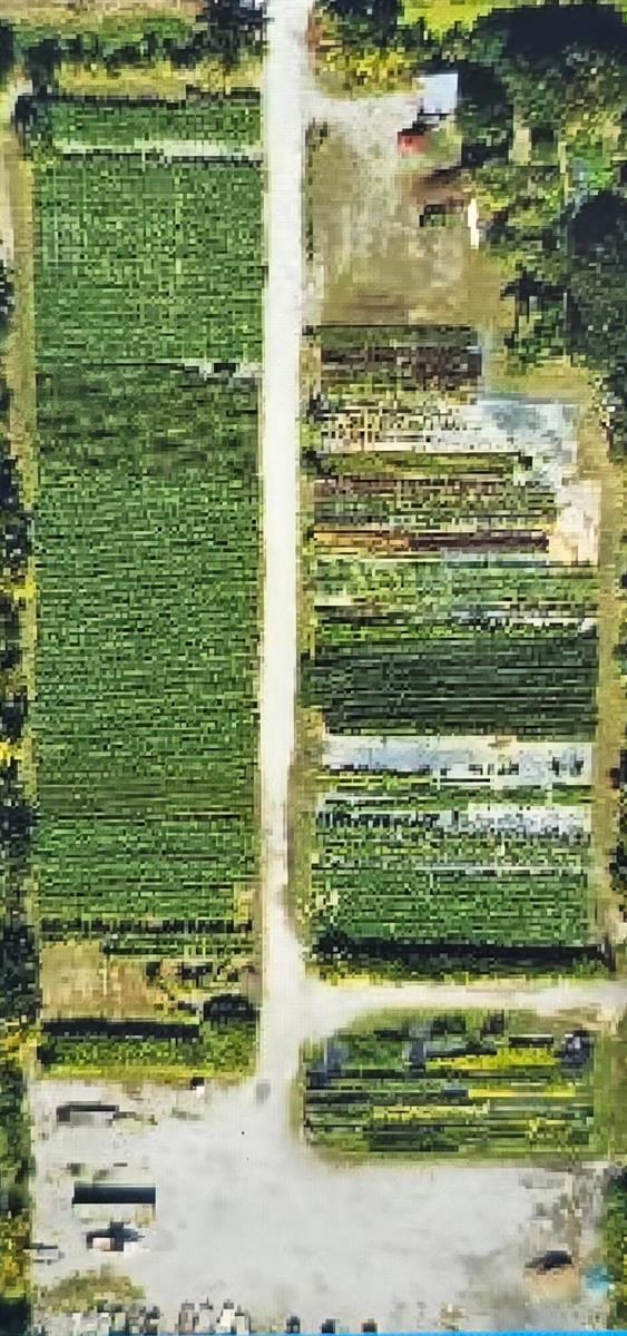 An aerial view shows a dirt road separating a large field from several garden plots — 0000 S 87th Pl Place S, Boynton Beach FL 33472, BOYNTON BEACH, FL