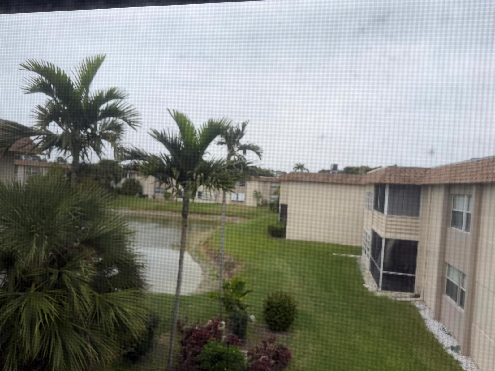 A view from a window showing a pond, palm trees, and multi-story apartment buildings — 502 Davis Road # 6, Palm Springs FL 33461, PALM SPRINGS, FL