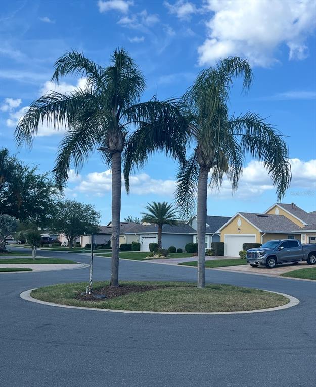 Two palm trees stand in the center of a circular island in a residential street — 20631 PRINCE RANIER PLACE, LEESBURG, FL