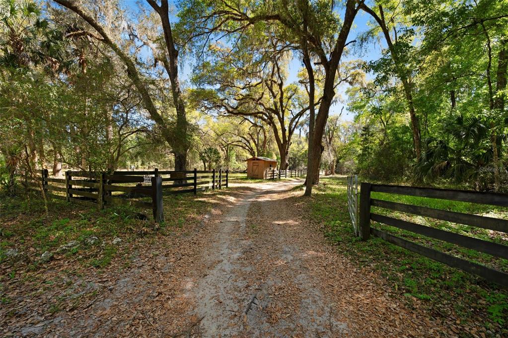 A dirt path leads through a wooden fence toward a small shed under large trees — 15311 SW 107TH STREET, ARCHER, FL