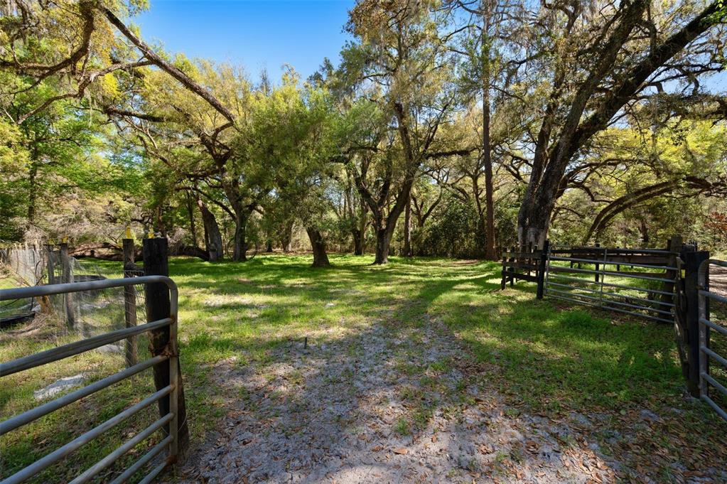 A dirt path leads through a metal gate into a wooded area with large trees — 15311 SW 107TH STREET, ARCHER, FL