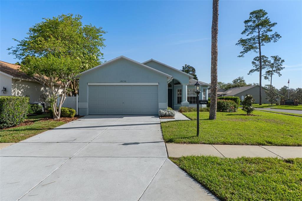 A single-story house with a light blue exterior, a two-car garage, and a concrete driveway — 18236 WEBSTER GROVE DRIVE, HUDSON, FL